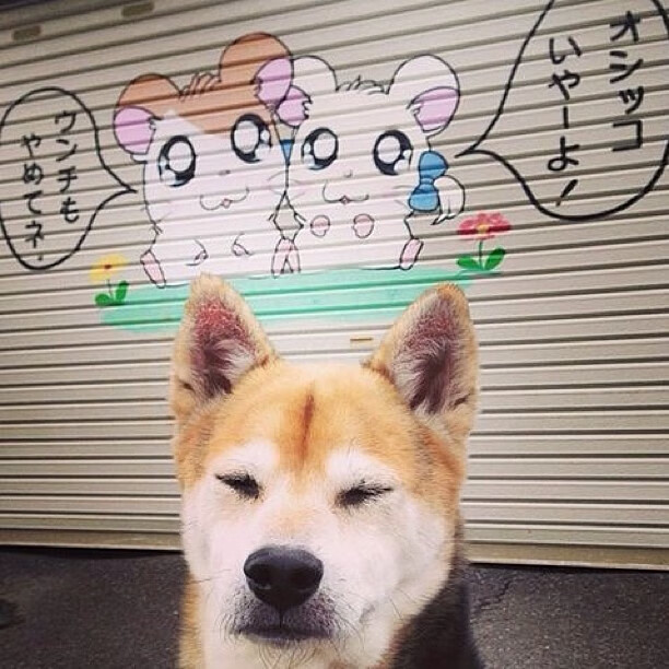 当足球与F1在奇迹之夜交汇，楚阿梅尼的街道赛与苏格兰斩落利物浦的战术交响