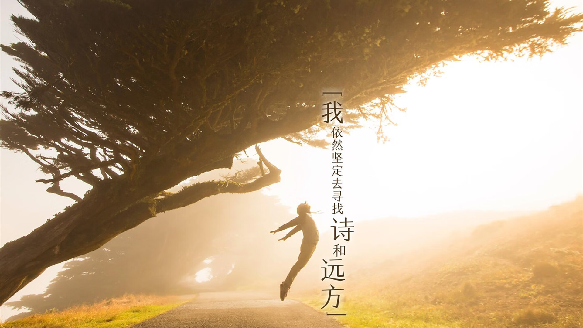 跨越时空的接管，从尼克斯绝杀火箭，到詹姆斯在2026世界杯的终极时刻